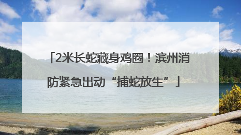 2米长蛇藏身鸡圈！滨州消防紧急出动“捕蛇放生”