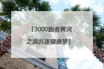 3000跑者黄河之滨共逐健康梦