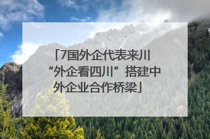 7国外企代表来川 “外企看四川”搭建中外企业合作桥梁