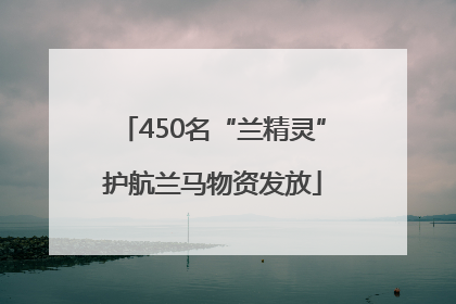 450名“兰精灵”护航兰马物资发放