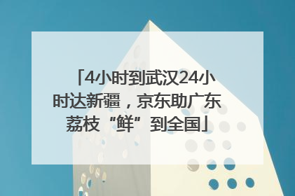 4小时到武汉24小时达新疆，京东助广东荔枝“鲜”到全国