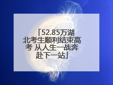 52.85万湖北考生顺利结束高考 从人生一战奔赴下一站