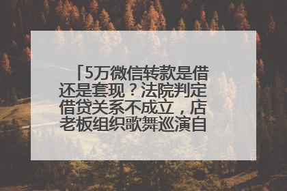 5万微信转款是借还是套现？法院判定借贷关系不成立，店老板组织歌舞巡演自我“恢复名誉”