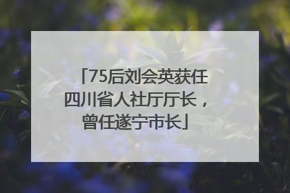75后刘会英获任四川省人社厅厅长，曾任遂宁市长