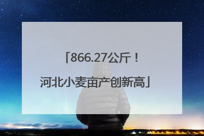 866.27公斤！河北小麦亩产创新高