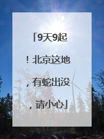 9天9起！北京这地，有蛇出没，请小心