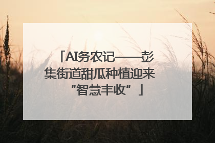 AI务农记——彭集街道甜瓜种植迎来“智慧丰收”