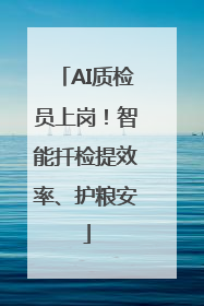AI质检员上岗！智能扦检提效率、护粮安