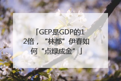 GEP是GDP的12倍，“林都”伊春如何“点绿成金”
