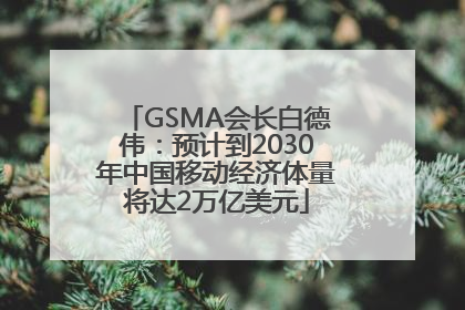 GSMA会长白德伟：预计到2030年中国移动经济体量将达2万亿美元
