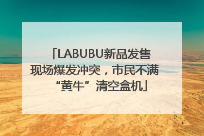 LABUBU新品发售现场爆发冲突，市民不满“黄牛”清空盒机