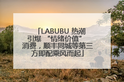 LABUBU 热潮引爆 “情绪价值” 消费，顺丰同城等第三方即配乘风而起
