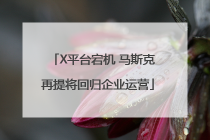 X平台宕机 马斯克再提将回归企业运营